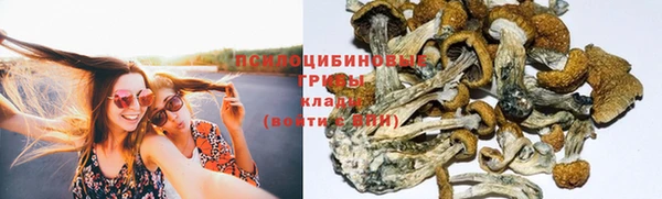 spice Армянск