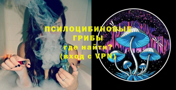 молекула духа Аркадак