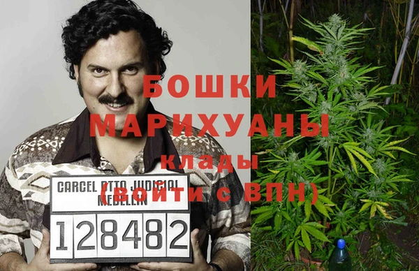 молекула духа Аркадак