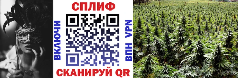 Марихуана план Орлов